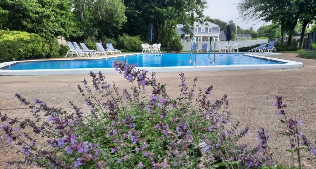 Harwichport Resort Club Харвич Порт Экстерьер фото